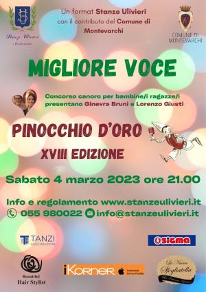 PINOCCHIO D'ORO 18.MA EDIZIONE - 4 marzo 2023 - ore 21